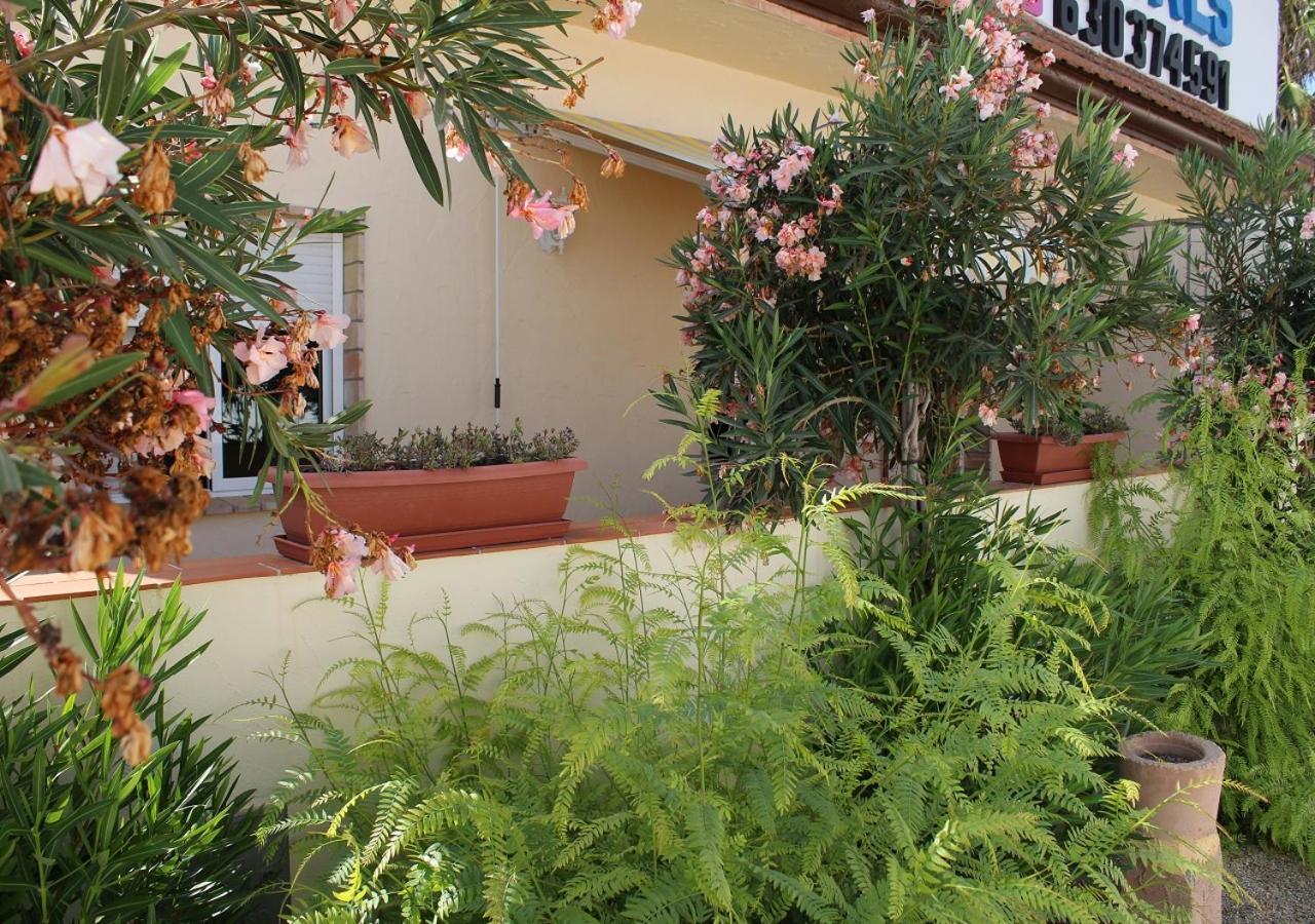 Dona Sofia Maria Apartment *